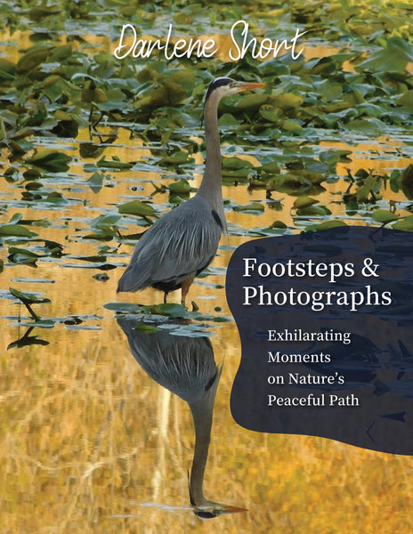 Footsteps & Photographs: Exhilarating Moments on Nature’s Peaceful Path - Darlene Short