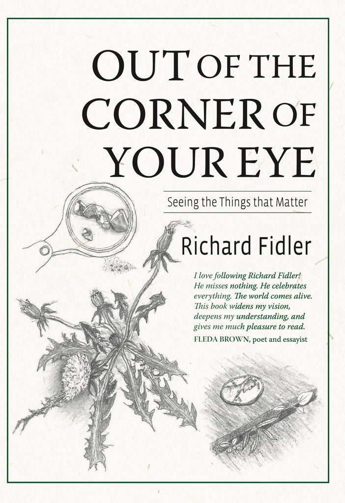 Out of the Corner of Your Eye: Seeing the Things that Matter - Richard Fidler