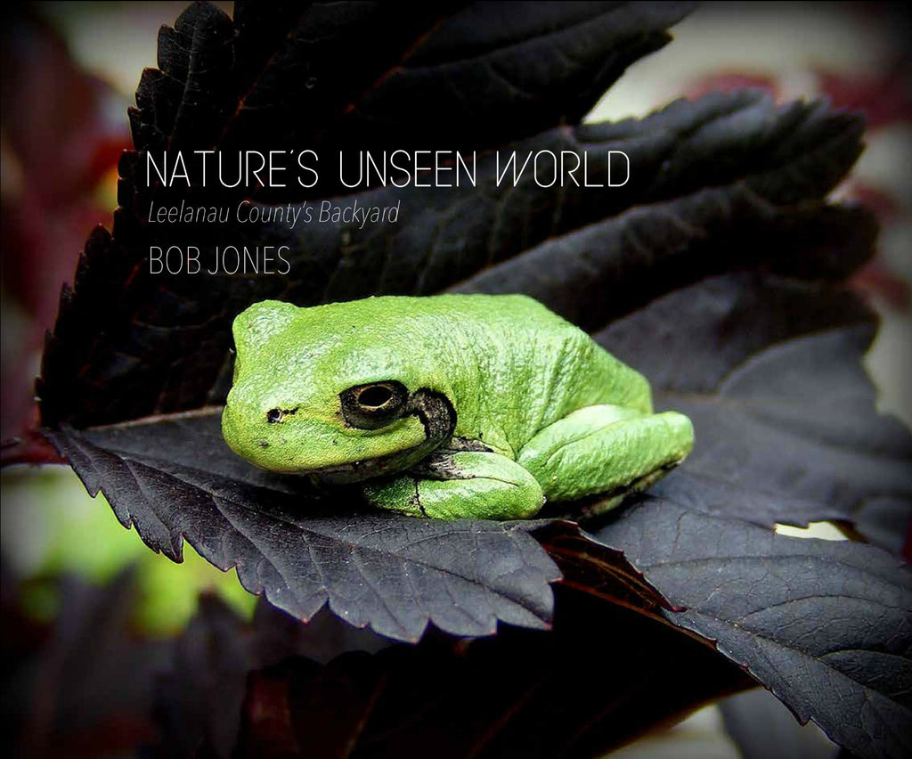 Nature's Unseen World: Leelanau County's Backyard - Bob Jones