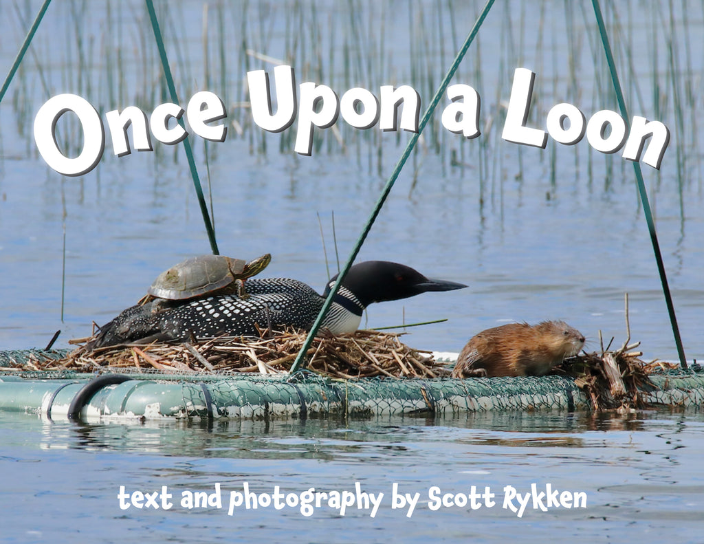 Once Upon a Loon - Scott Rykken