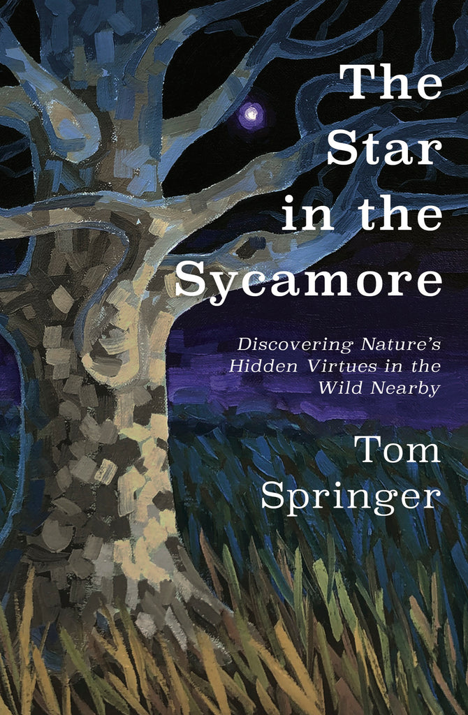 The Star in the Sycamore: Discovering Nature’s Hidden Virtues in the Wild Nearby — Tom Springer