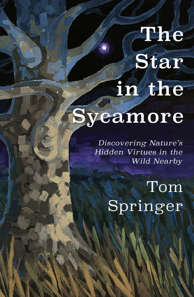 The Star in the Sycamore: Discovering Nature’s Hidden Virtues in the Wild Nearby — Tom Springer