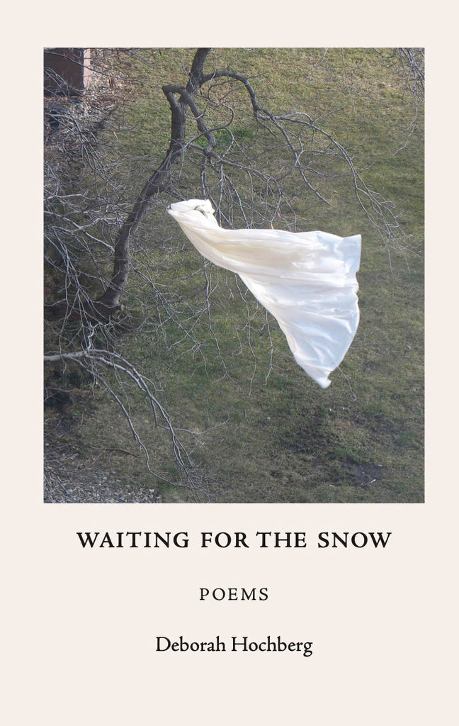 Waiting for the Snow - Deborah Hochberg